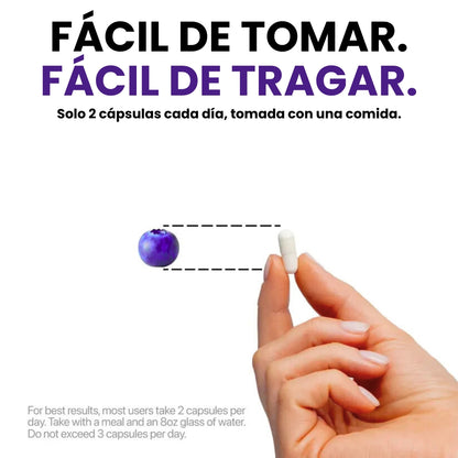 Biovital® Resveratrol Premium